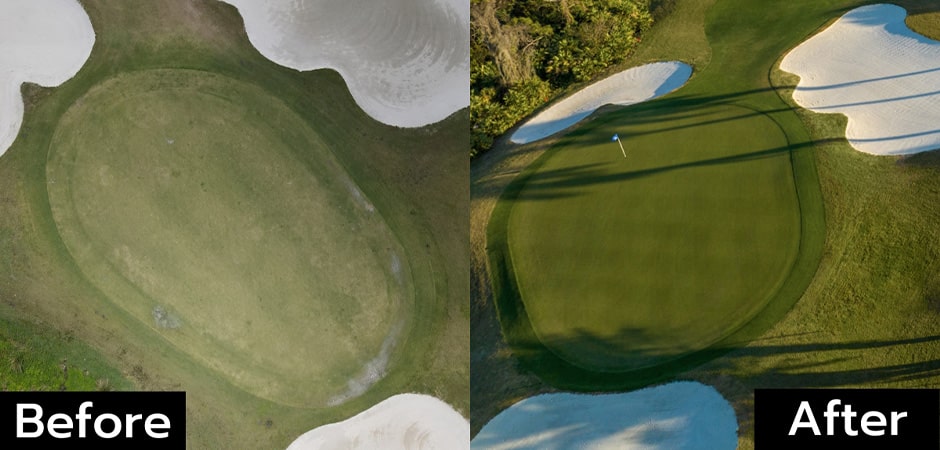 Before and After the Tesoro Golf Course
